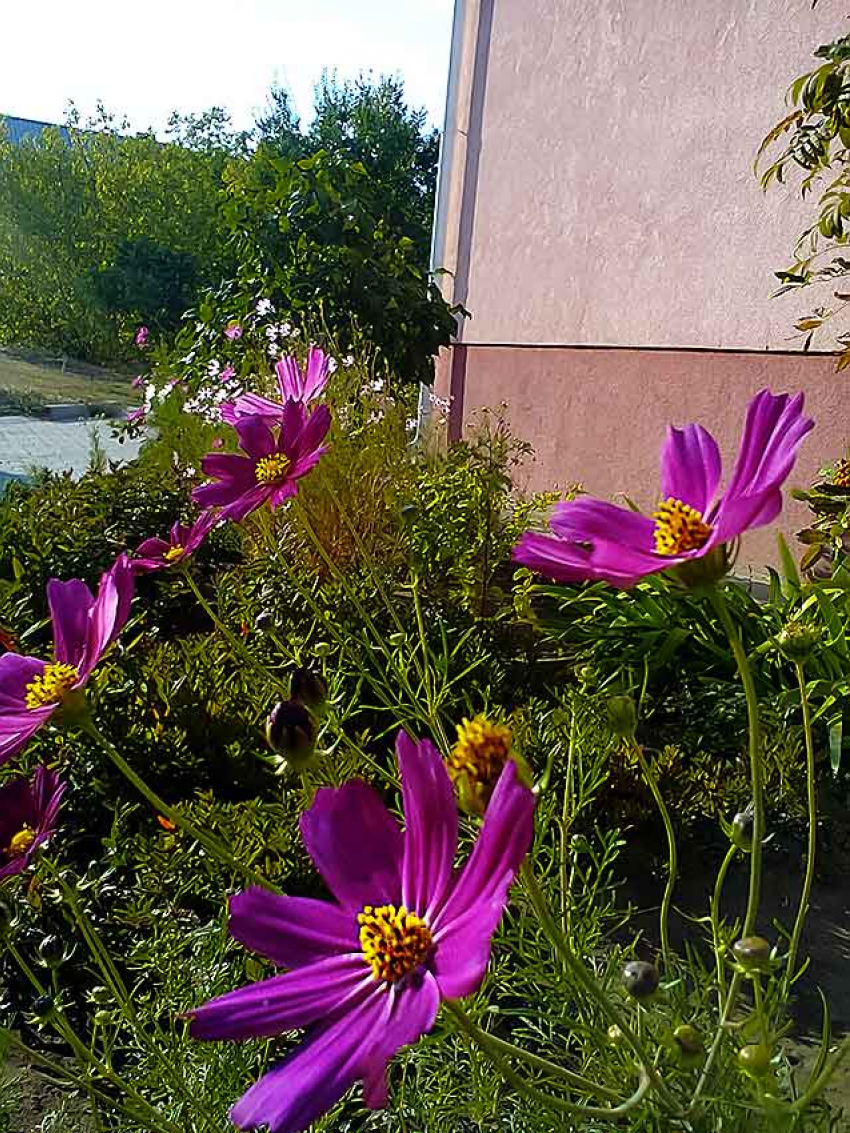 К Камышину подступает дождевой фронт