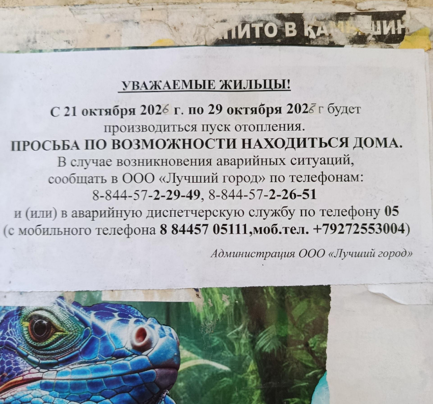 "Дайте, пожалуйста, уже отопление, у меня маленький ребёнок, и он болеет!» - камышанка