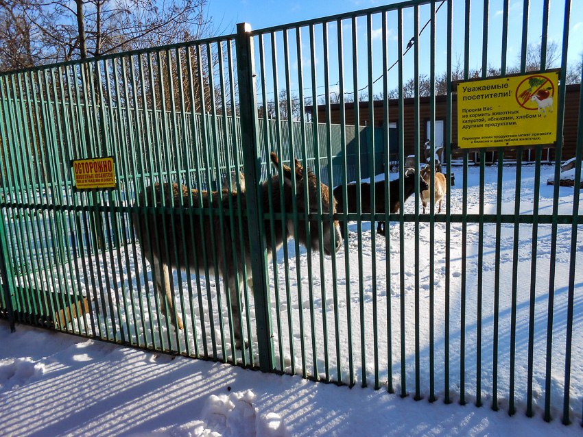  В Камышине резко потеплеет к первому дню весны