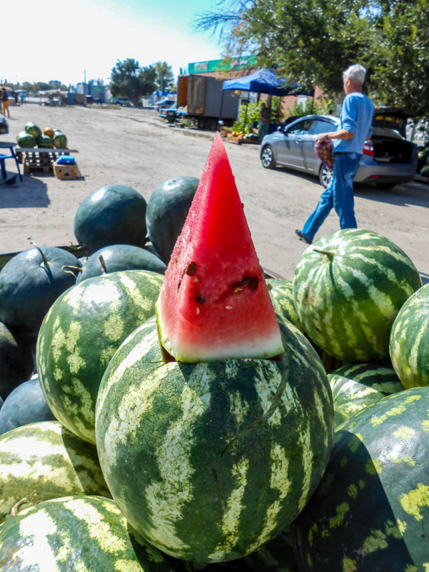 Свежо и солнечно: погода в Камышине 10 сентября