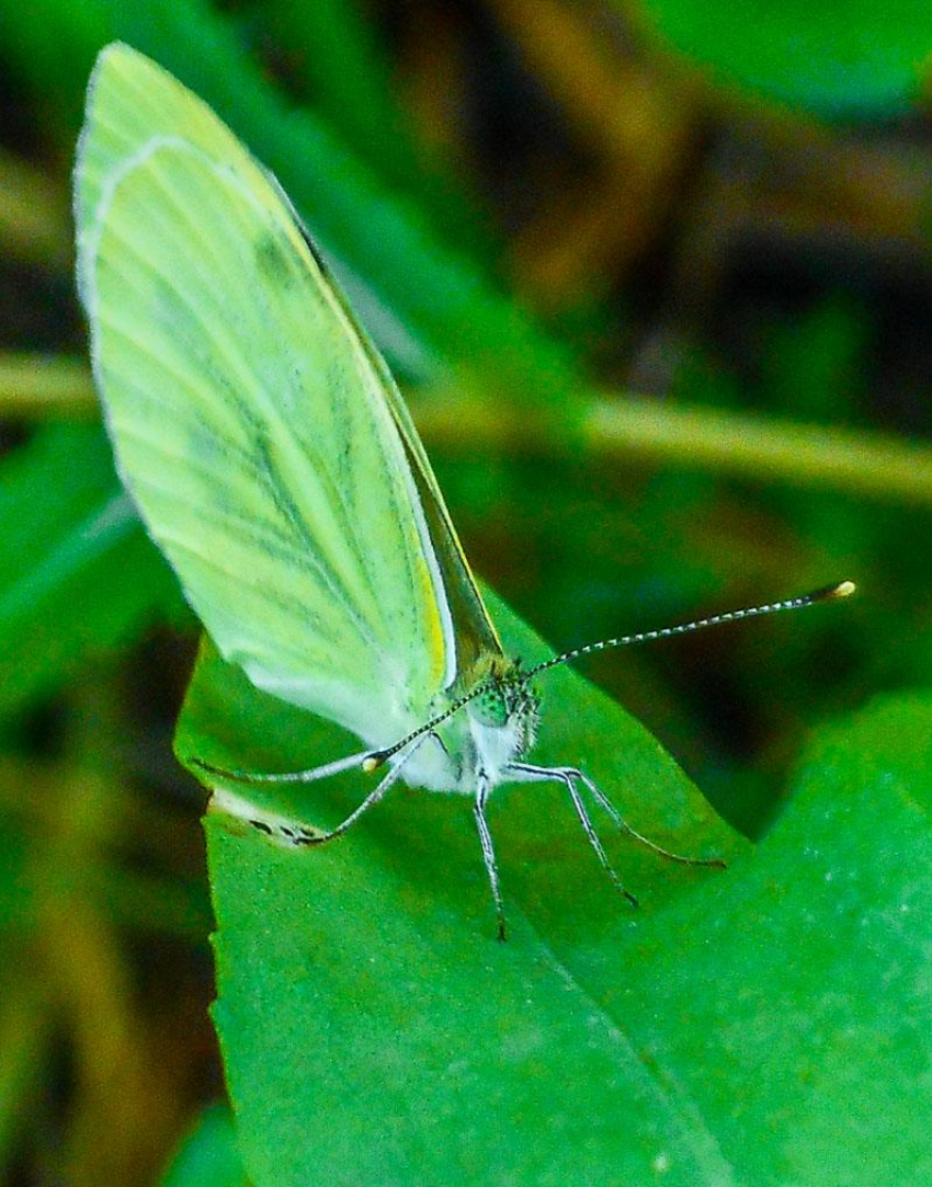 Солнечно, но геомагнитный фон «подводит": погодная повестка для камышан на 13 августа