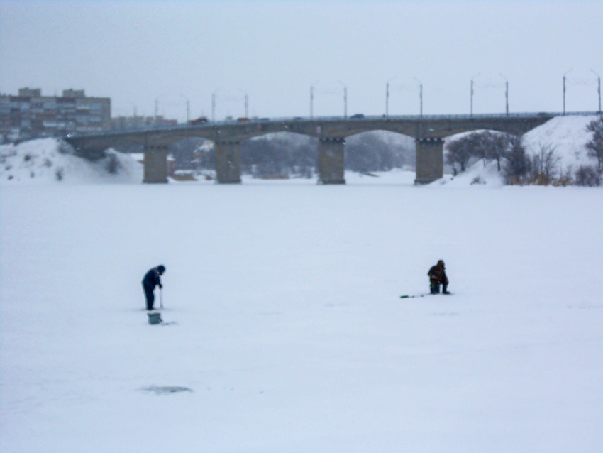  Солнце и мороз крепче 20-ти градусов: погода в Камышине 18 января