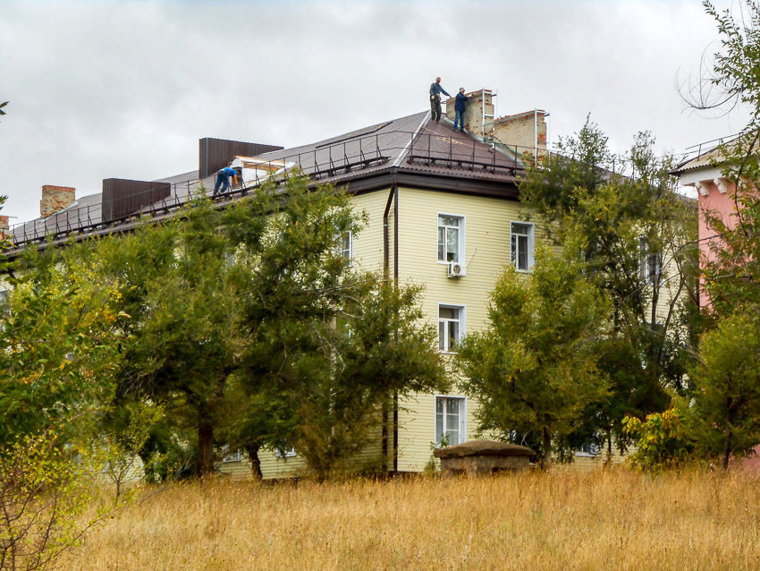 В Камышине дом под капремонтом зарос сорными «джунглями"