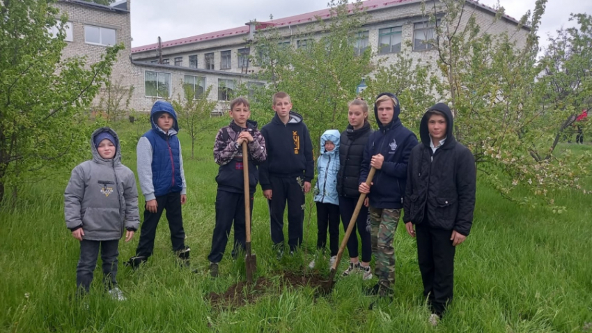 Школьники из села Воднобуерачное Камышинского района заложили яблоневый «Сад Победы"