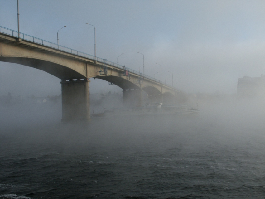 Камышин накрыл туман