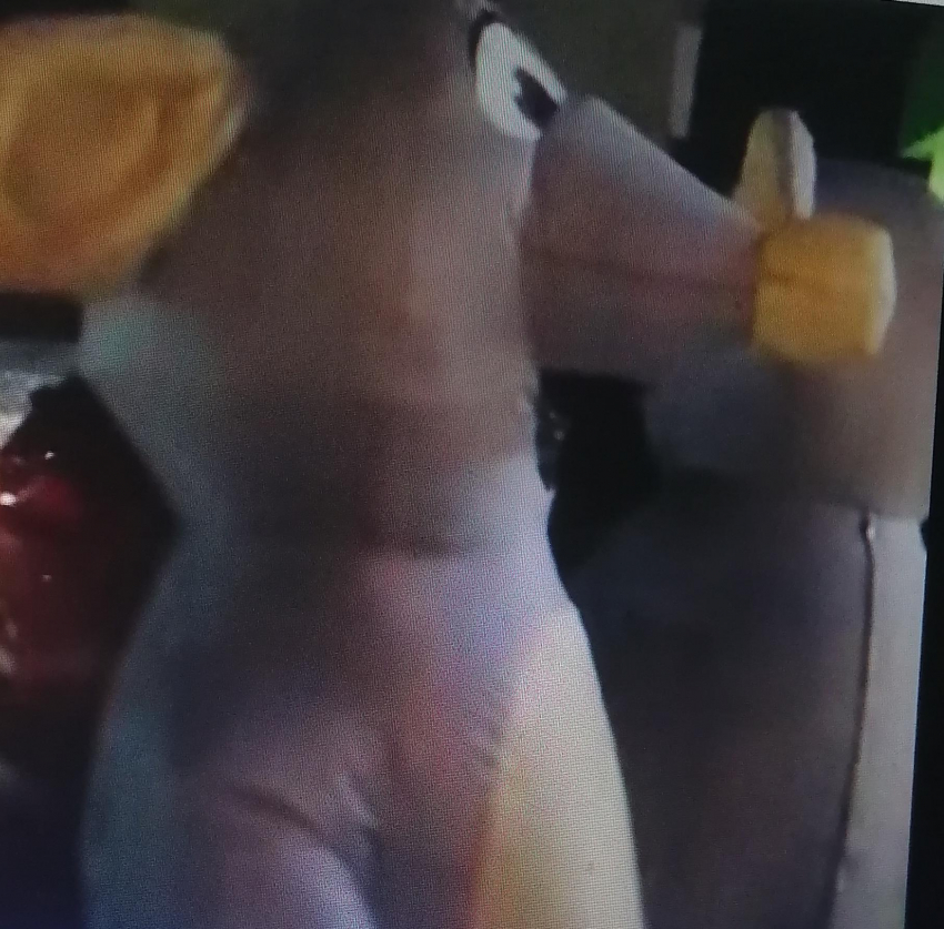 Камышан на улицах развеселили ростовые куклы в новогоднюю ночь (ВИДЕО)