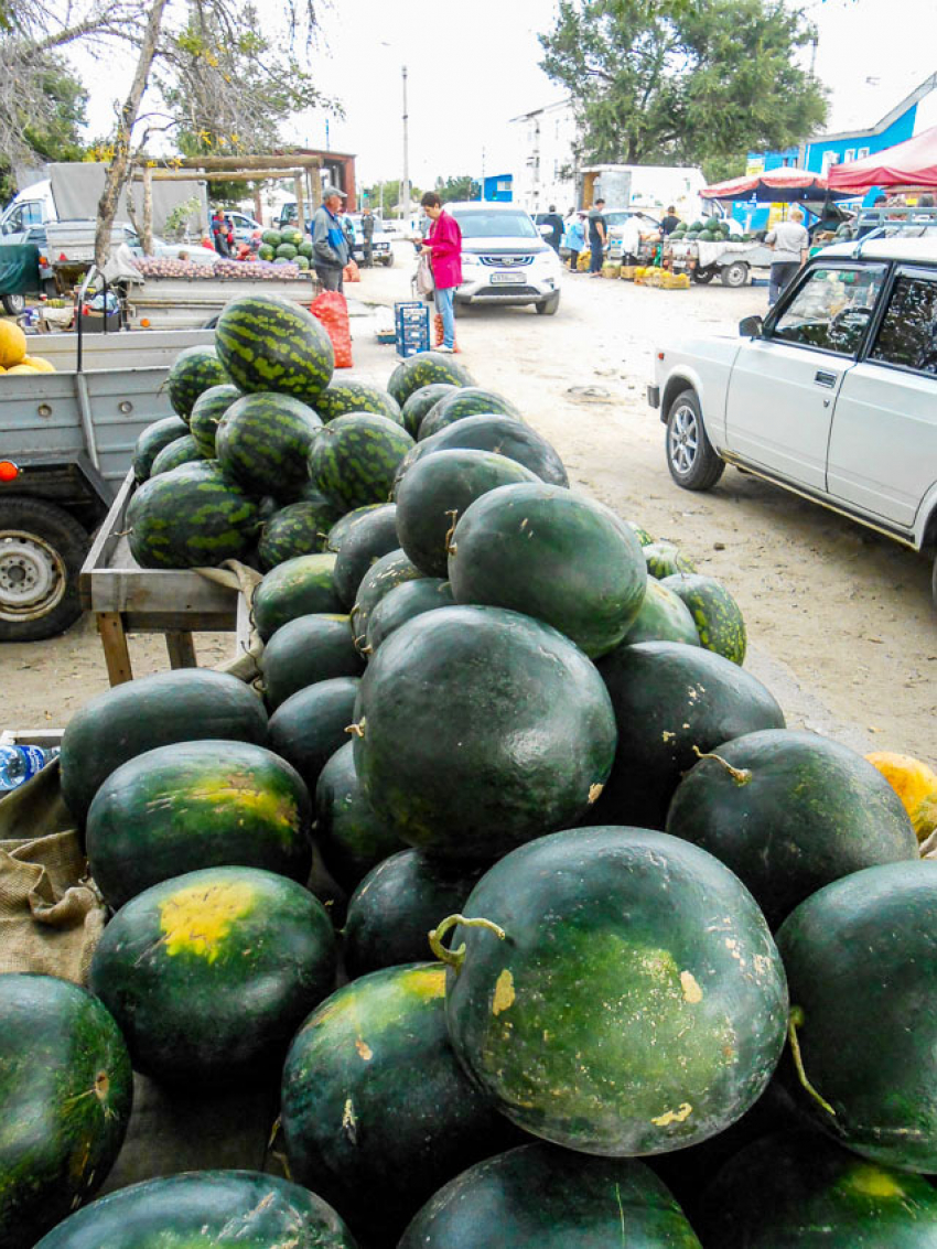 На камышинских рынках остались нераспроданными горы арбузов