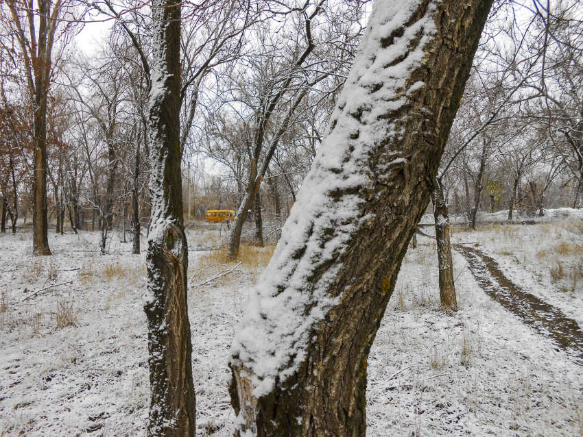 Юго-западный ветер поддержит в Камышине комфортную погоду