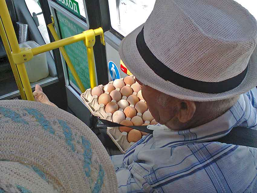 Рост цен на яйца в Волгоградской области проверит ФАС 