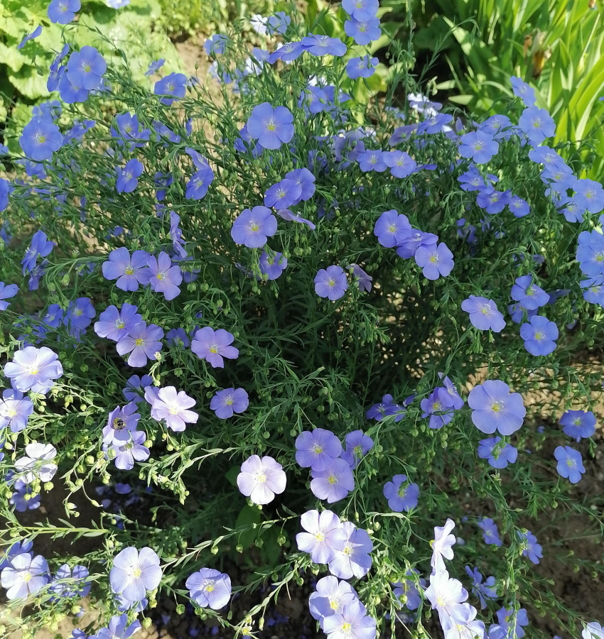 В Камышине в первый летний день синоптики вновь предсказали дождь, который никак «не хочет» идти