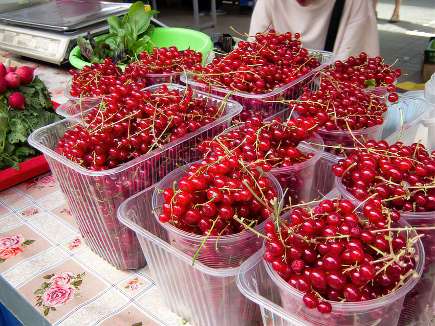 В Камышине берет старт сезон супердесерта - желе из красной смородины