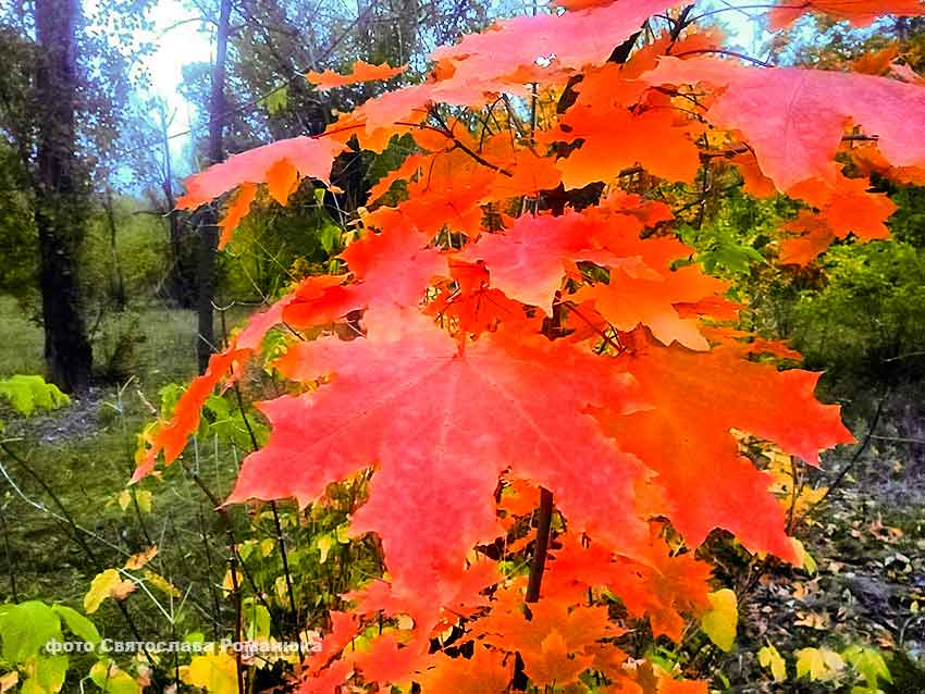Над Камышином соберутся облака, и потеплеет