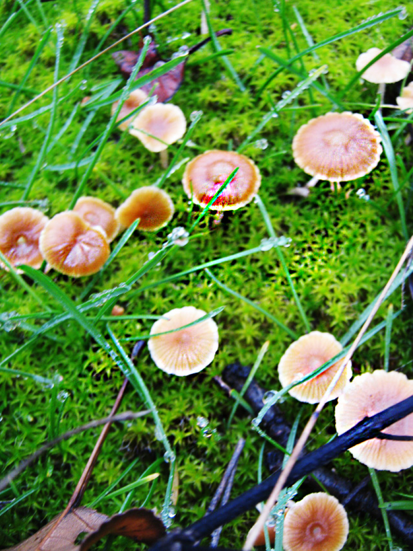 Вторник 18 ноября приходит к камышанам теплым, но с сильным ветром и слабым дождем: погодный прогноз на сегодня