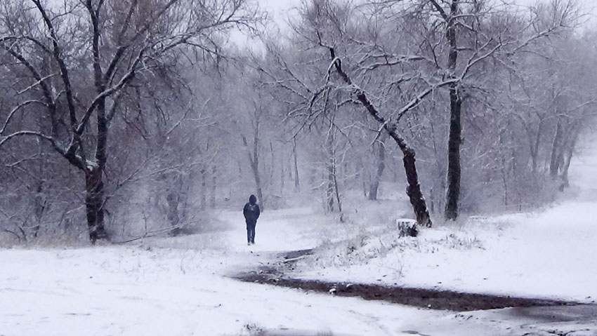 Камышан предупредили о метели