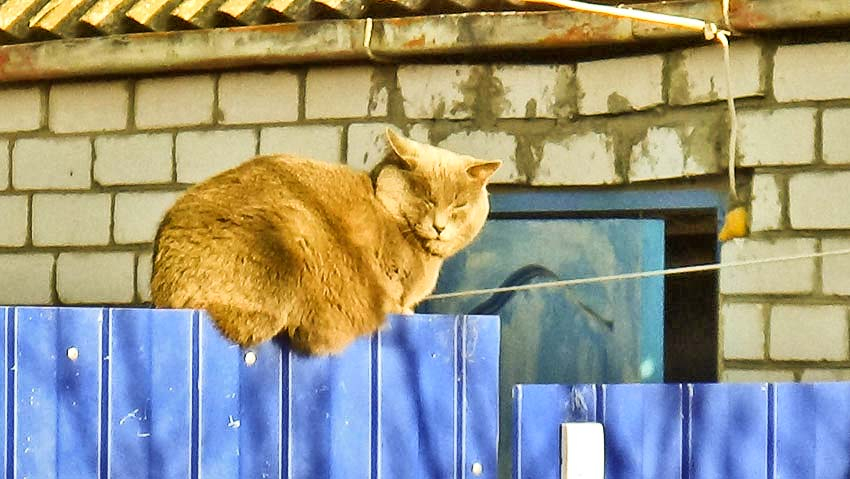 Десятки домов останутся без света в Камышине завтра, 27 ноября