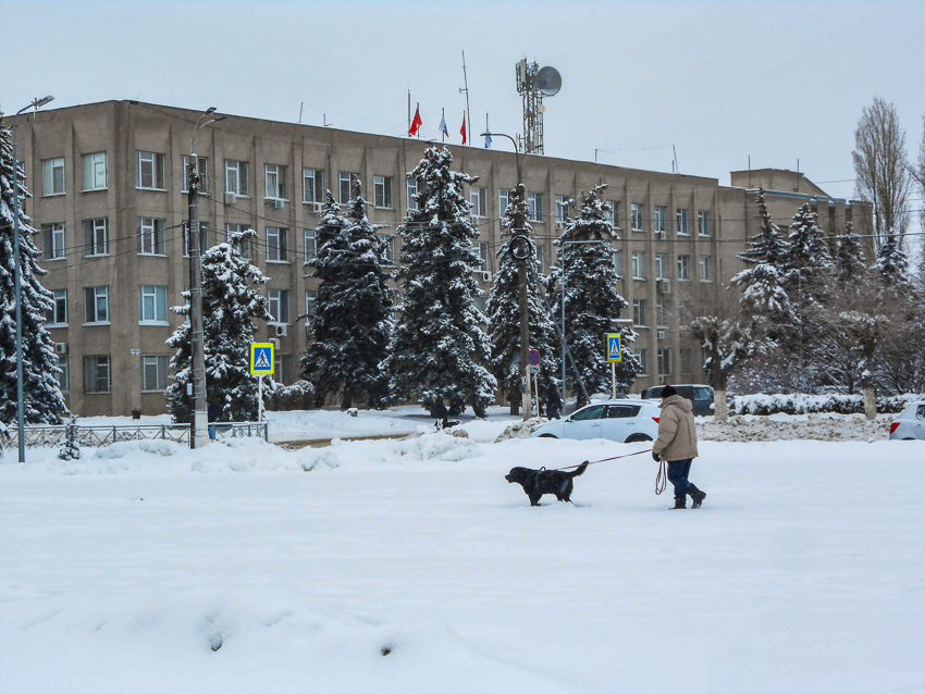 Зарплаты административного персонала по динамике роста победили всех в Волгоградской области