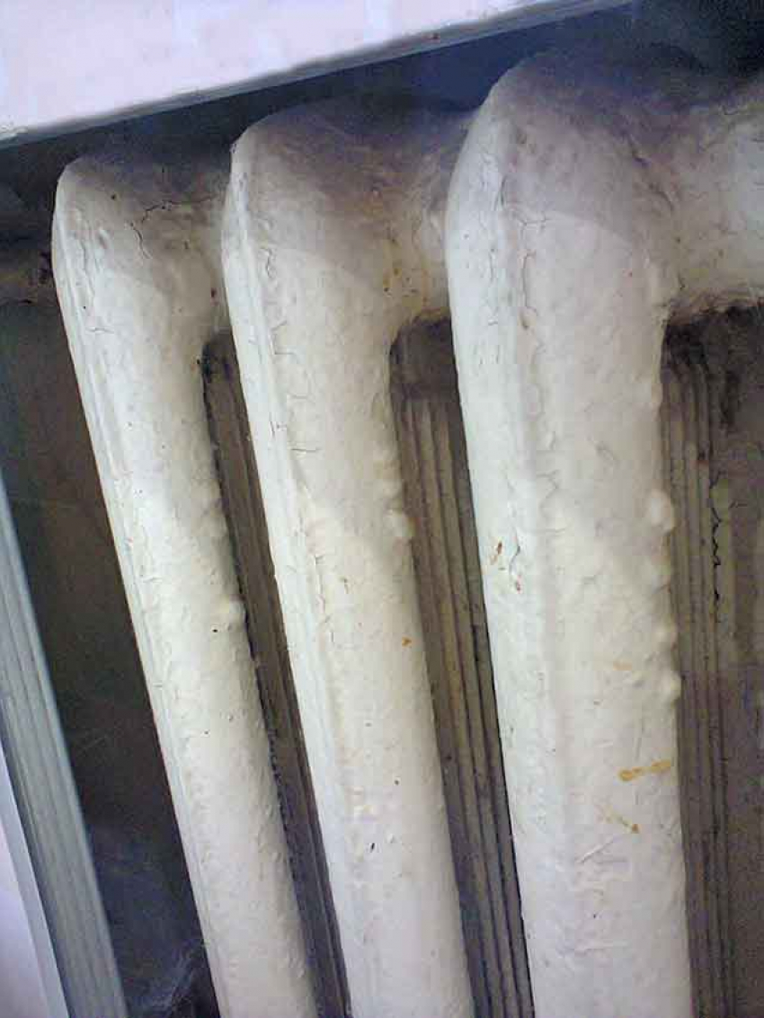 В Камышине на карантин посадили... батарею