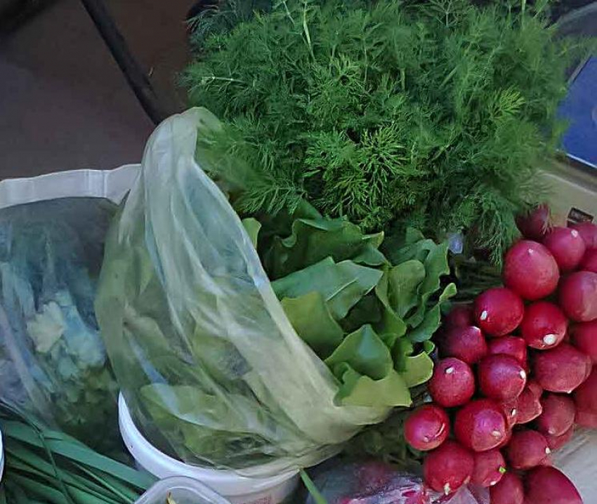 Зеленые щи по весне обожаемы камышанами, но цены на щавель «кусаются"