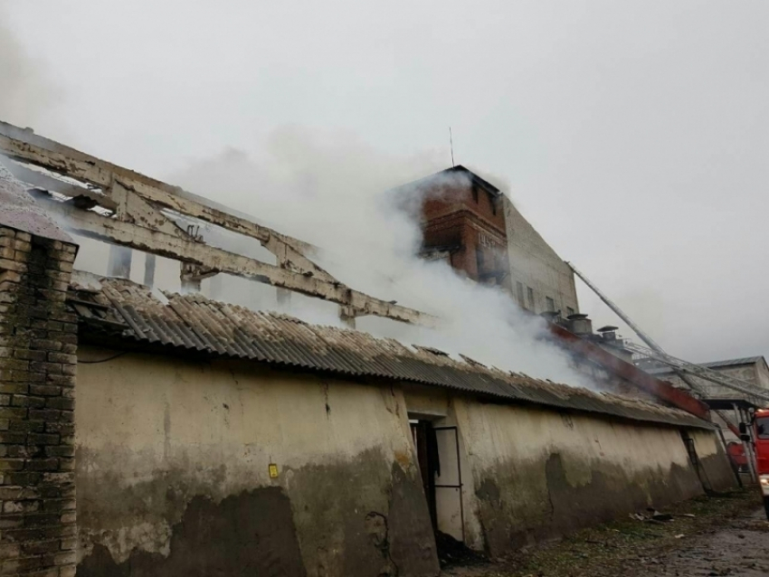 В Волгоградской области сгорела большая часть  склада маслоэкстракционного завода