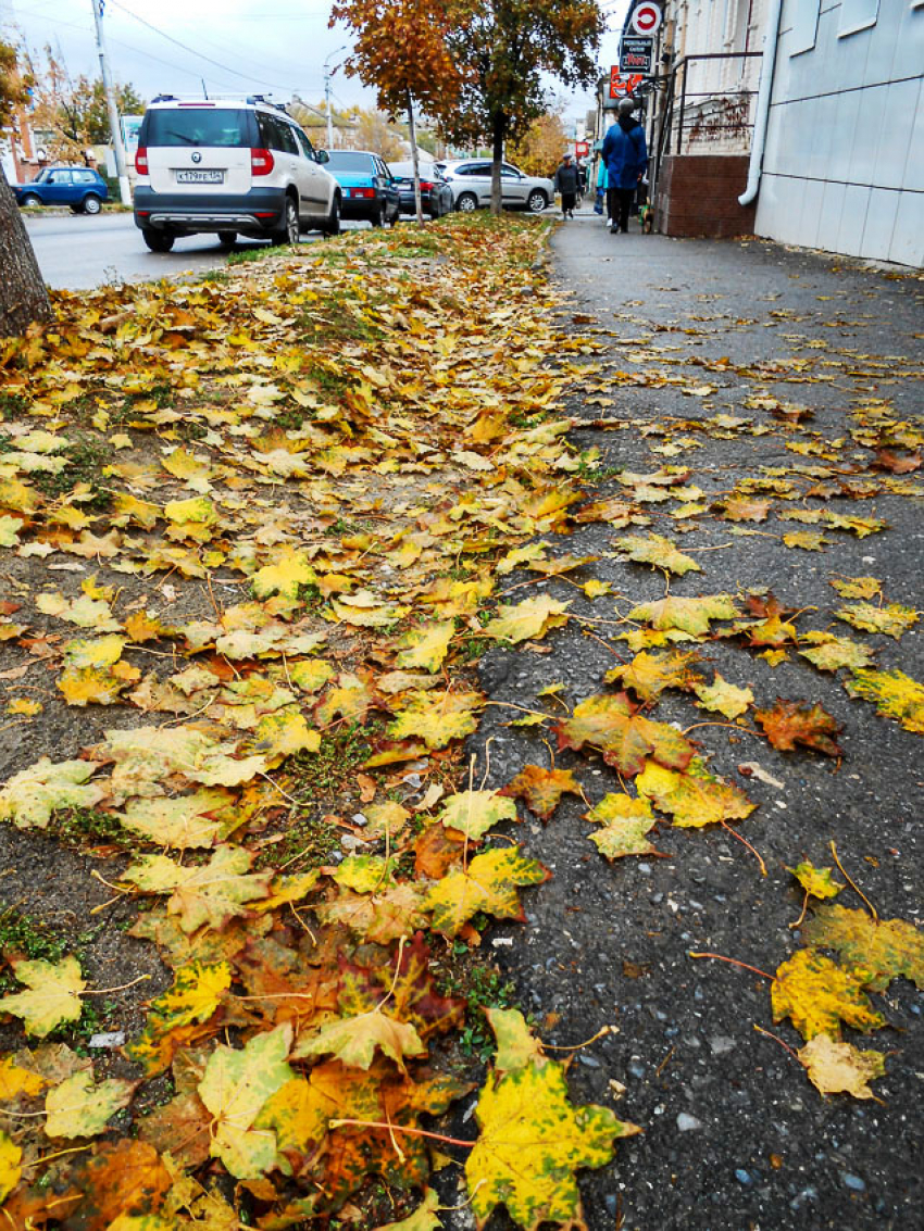 Камышан предупредили о тумане: «цвет настроения» -  «желтый"