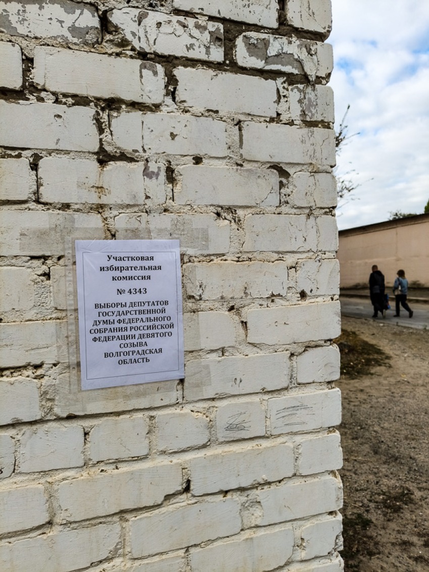 Новые цифры по промежуточным итогам 3-го дня голосования сообщает ИКВО