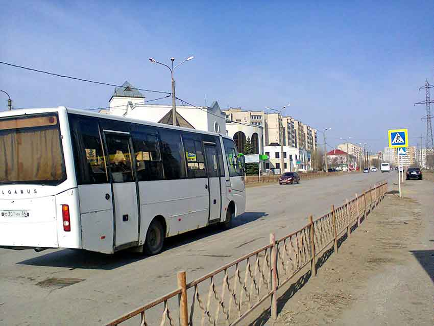 В Камышине не на что покупать новые муниципальные автобусы