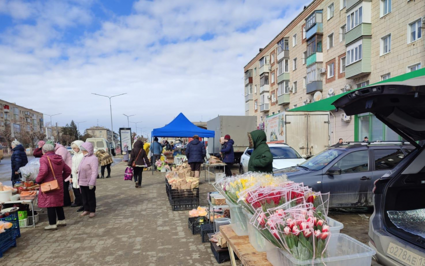 Тюльпаны стремительно подешевели в Камышине накануне 8 Марта