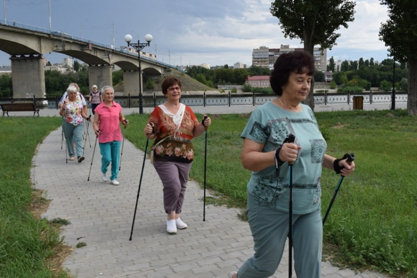 В Камышине бабушки с палками вступают в «дерзкую конкуренцию» со службами благоустройства?