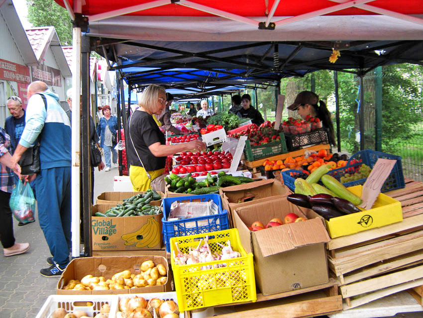 Среди самых ходовых овощей в Волгоградской области подешевела только капуста