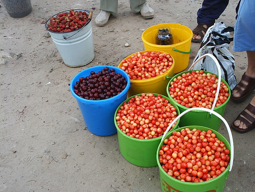В Камышине автобусы на дачи поедут с 11 апреля