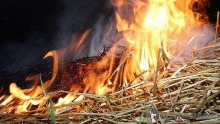 В Камышине сгорело 10 тонн сена