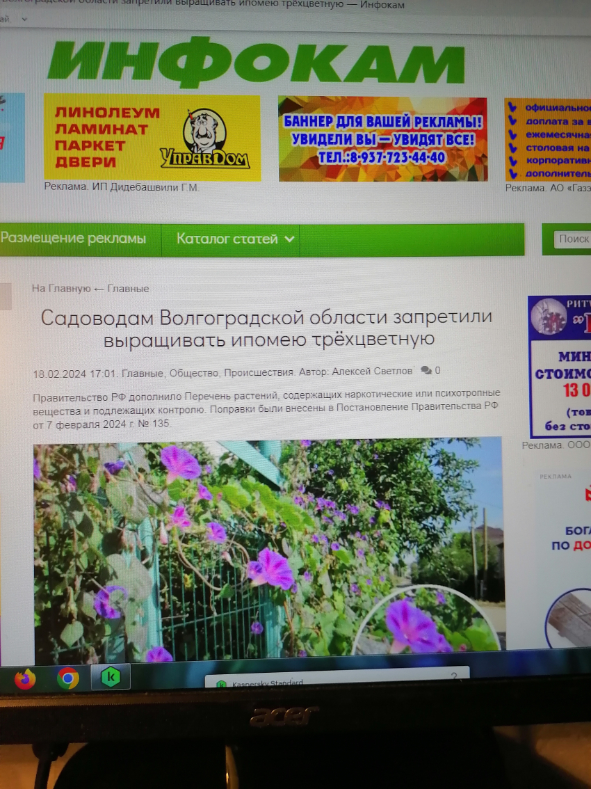 Камышинский сайт «Инфокам» перепугал камышан запрещенным цветком, из-за которого можно пойти в тюрьму