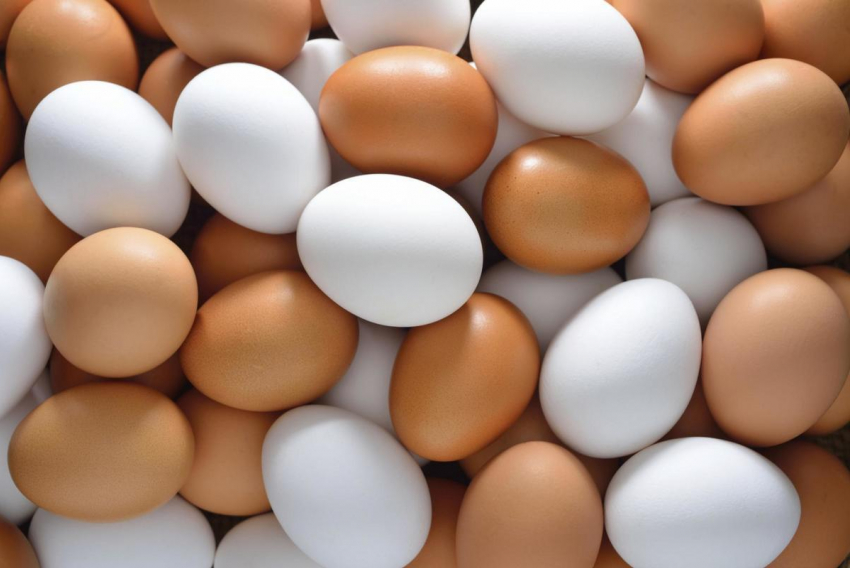 Яйца в Камышине долго «держались", но перед Новым годом подорожали