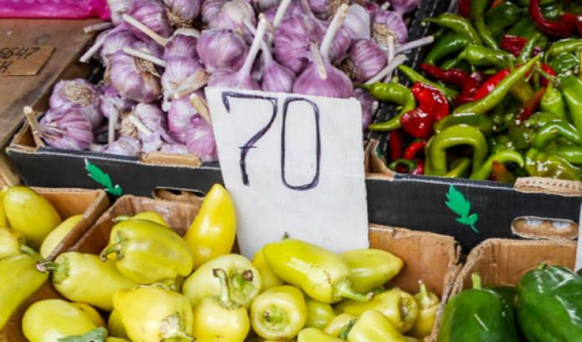 Роспотребнадзор составил для камышан противовирусный «букет"