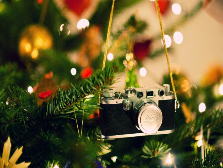 10 волшебных идей для Новогодней фотосессии дома