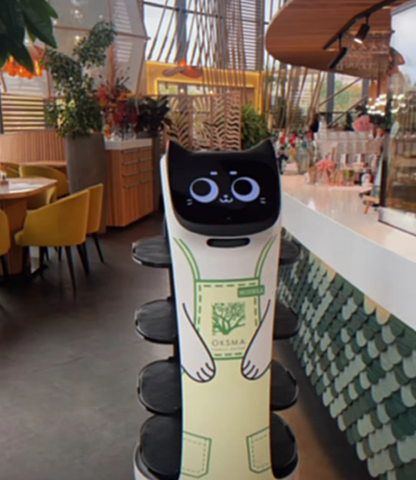 В волгоградском ресторане Котика - робота на колесиках отправили обслуживать посетителей