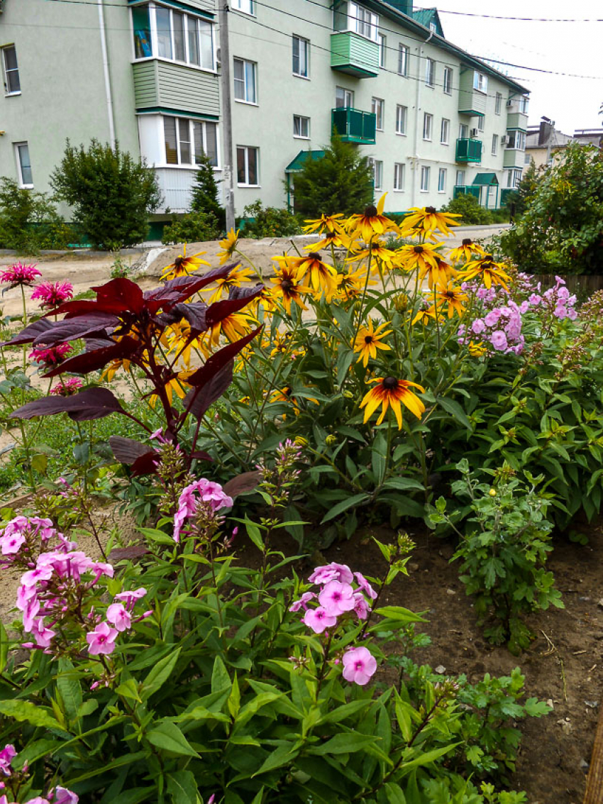 Массу отключений электроэнергии наметили коммунальщики Камышина на завтра, 14 июля