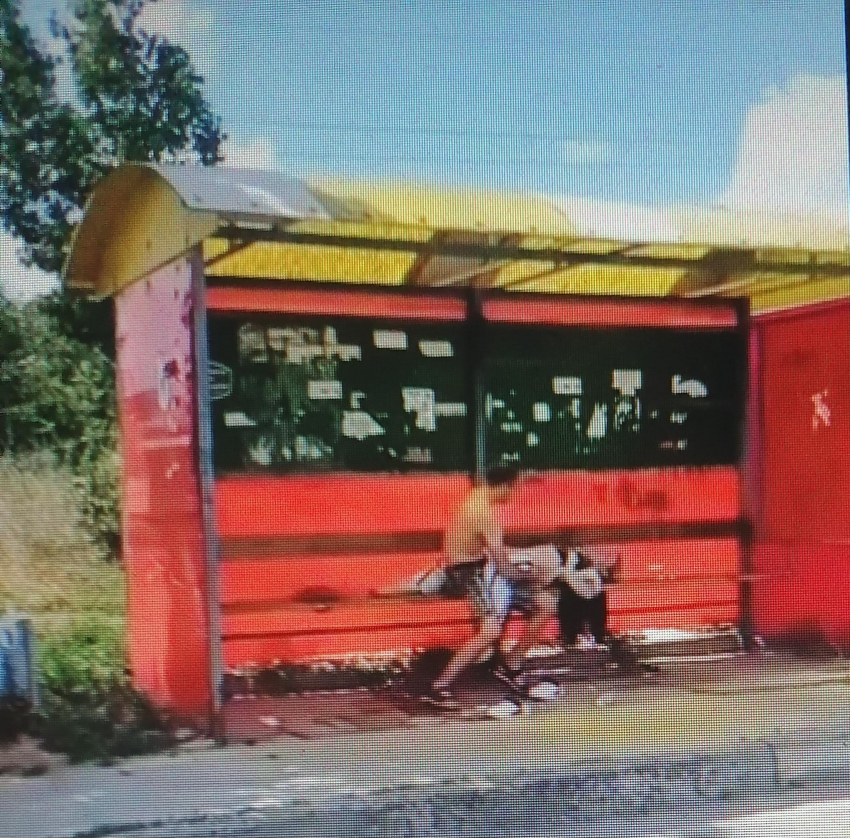 Камышане пополнили роликом с интимом на остановке коллекцию местного паблика для тех, кто «любит погорячее» (ВИДЕО)