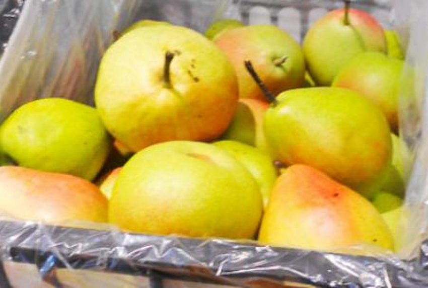 В Камышине садоводы, сумевшие сохранить груши, выложили их на прилавки рынка по 400 рублей