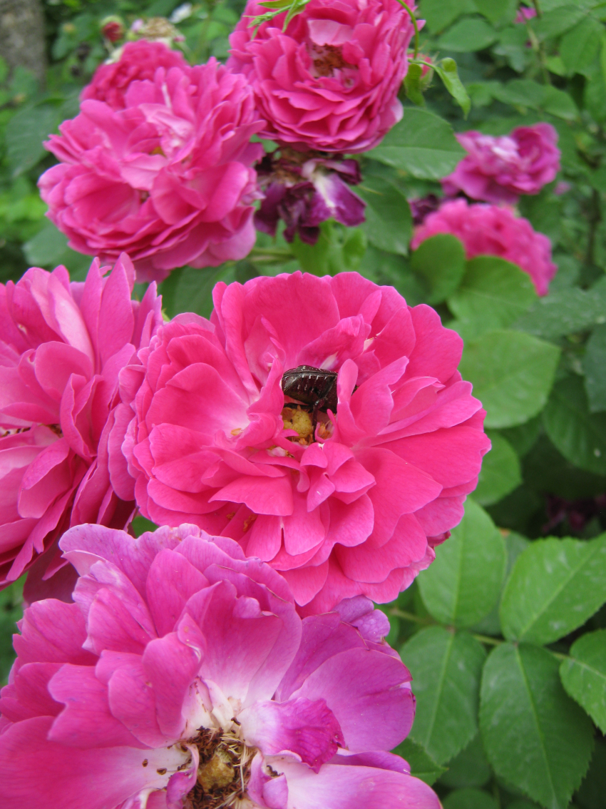 Солнечная свежесть: погода в Камышине 2 июня