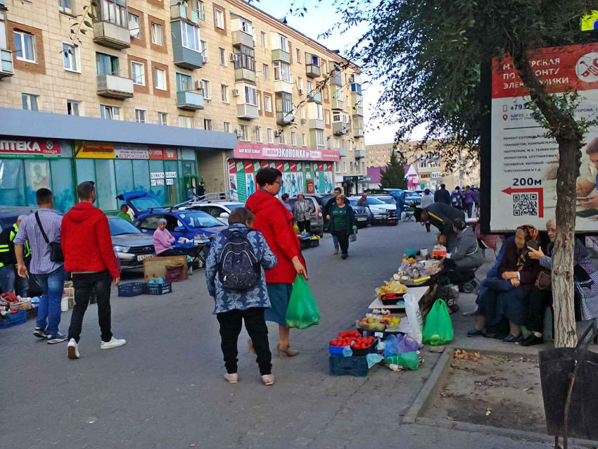 В Камышине осенняя земля чем-то отличается от летней, что с нее опять торгуют? - камышанка