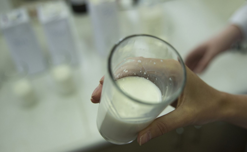 СК: как действовала преступная группа, «специализировавшаяся» на поставках суррогатного молока заключенным в Волгоградской области