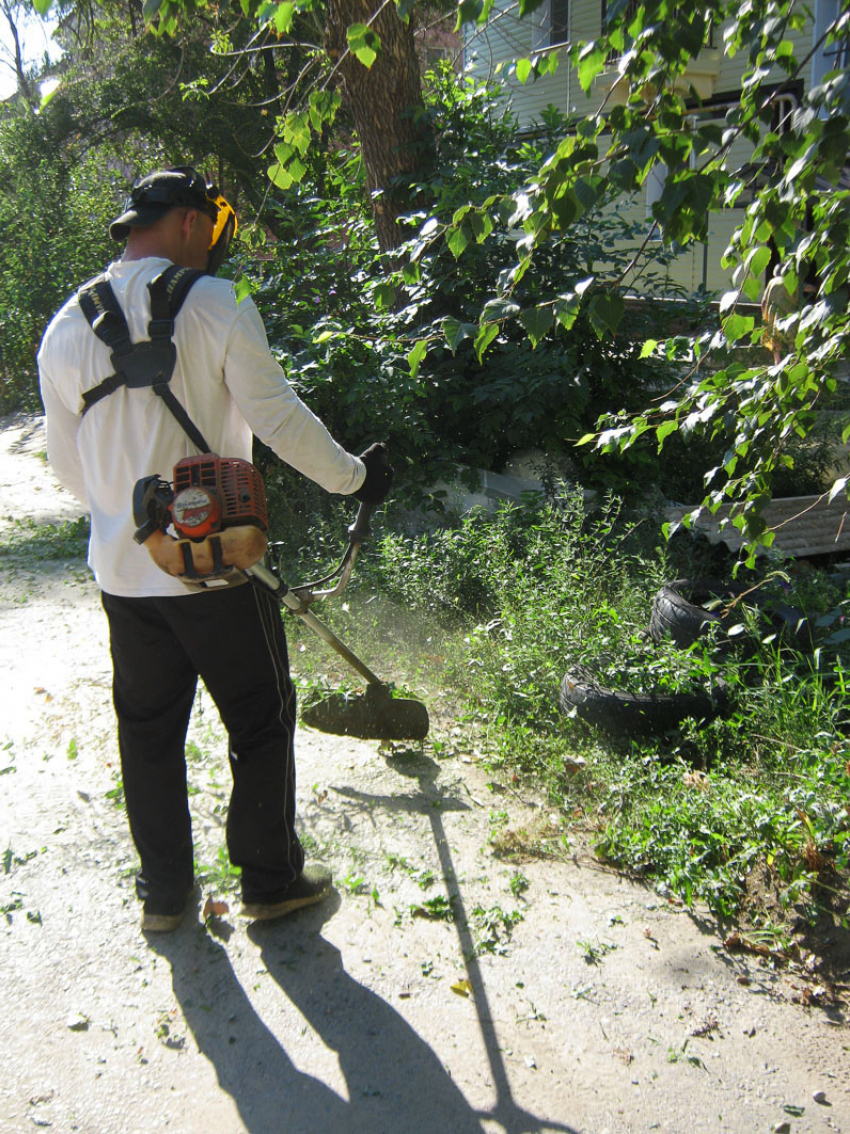 После публикации «Блокнота Камышина» на втором участке города появились «косари"