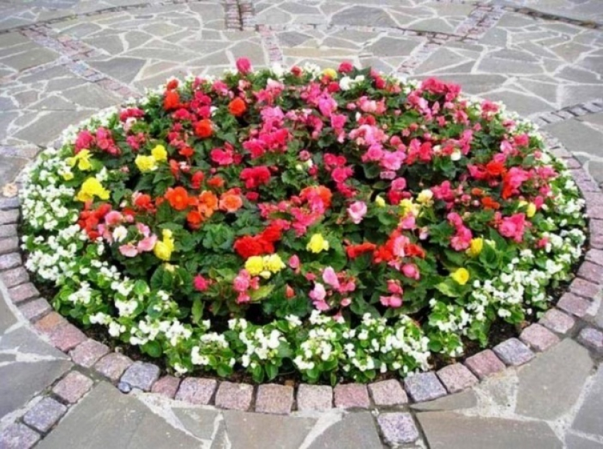 В Камышине объявили конкурс на самые красивые дома и цветники