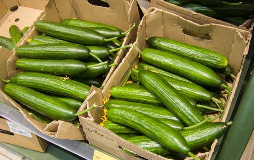 В Волгоградской области за неделю подорожали овощи