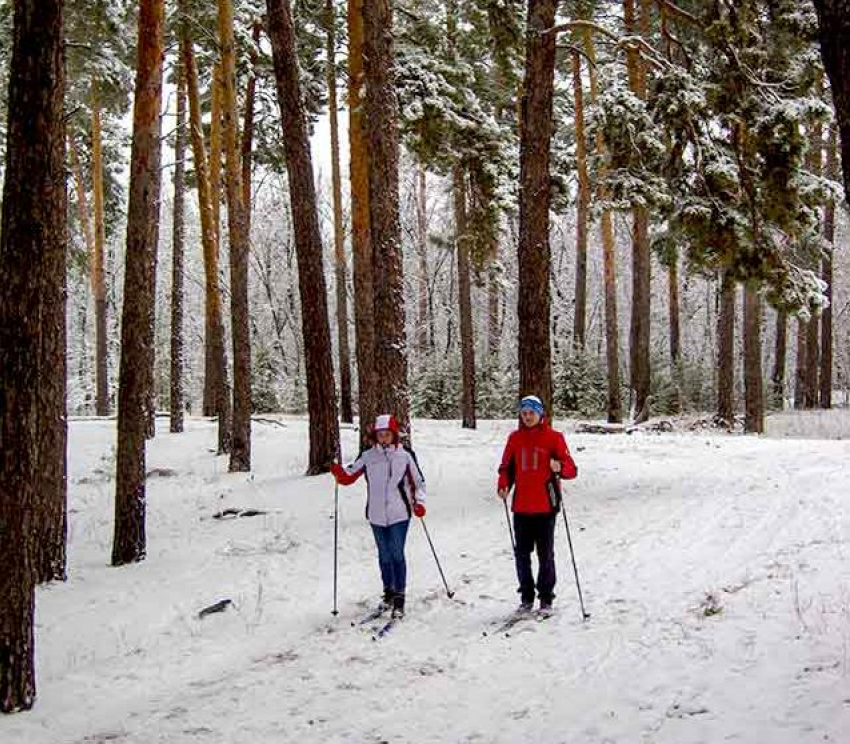 Камышане проторили лыжни и налепили снеговиков в лесопитомнике
