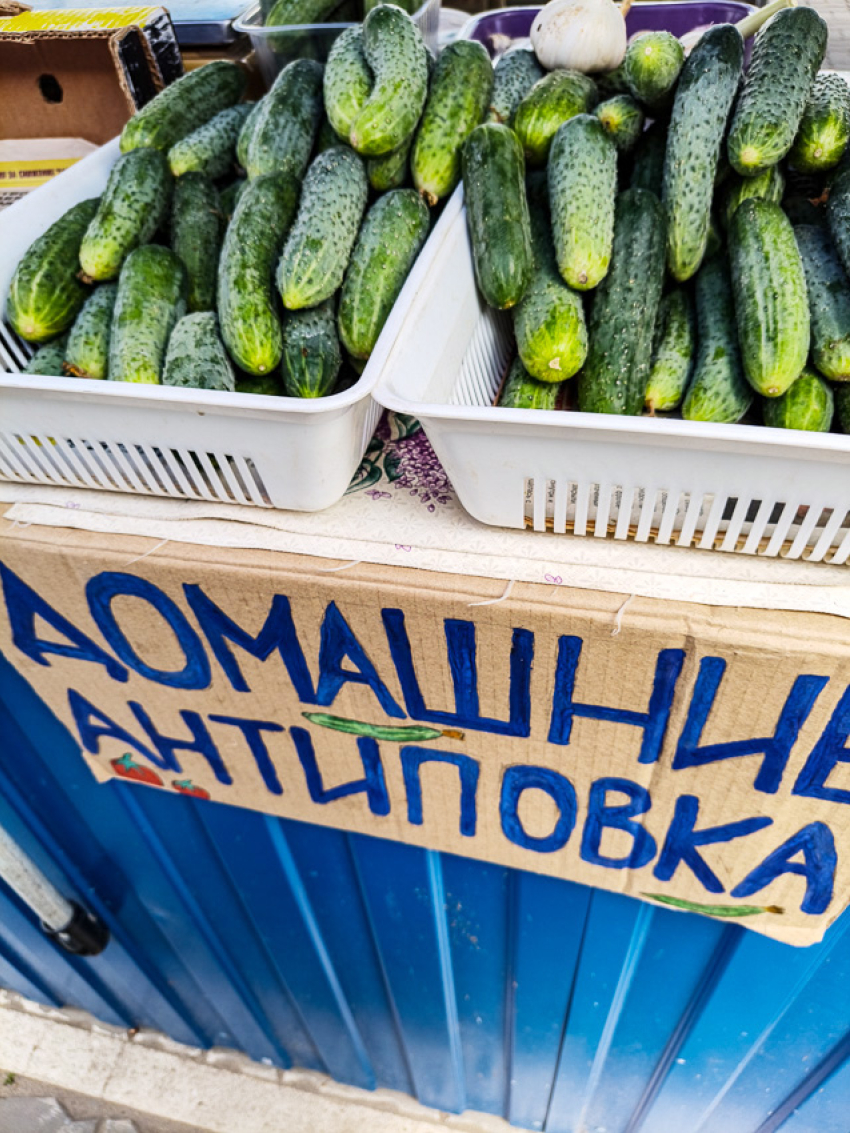 В разгар июля в Камышине  продавцы не хотят отдавать огурцы дешевле 140 рублей