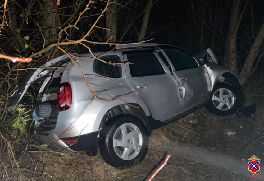 На трассе между Камышином и Жирновском бабушка-пассажирка погибла в машине, врезавшейся в дерево