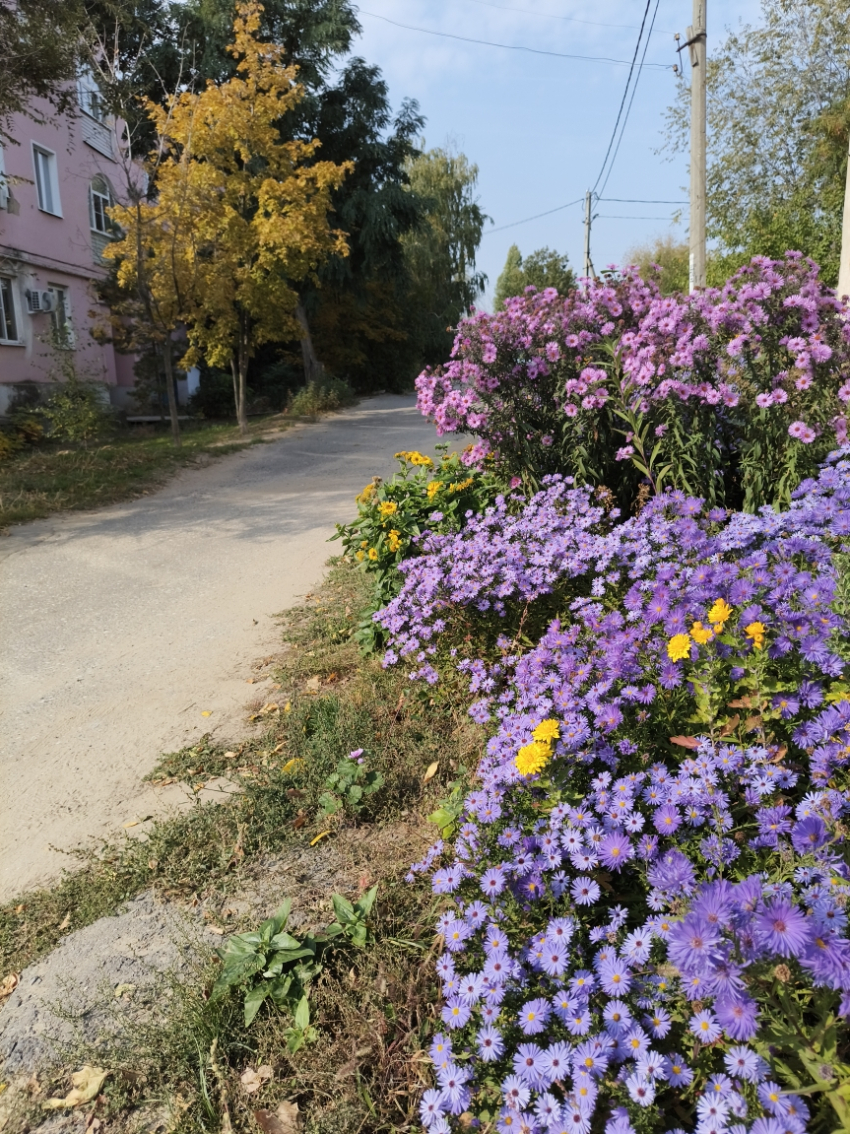 Две спокойные ночи подряд провели камышане