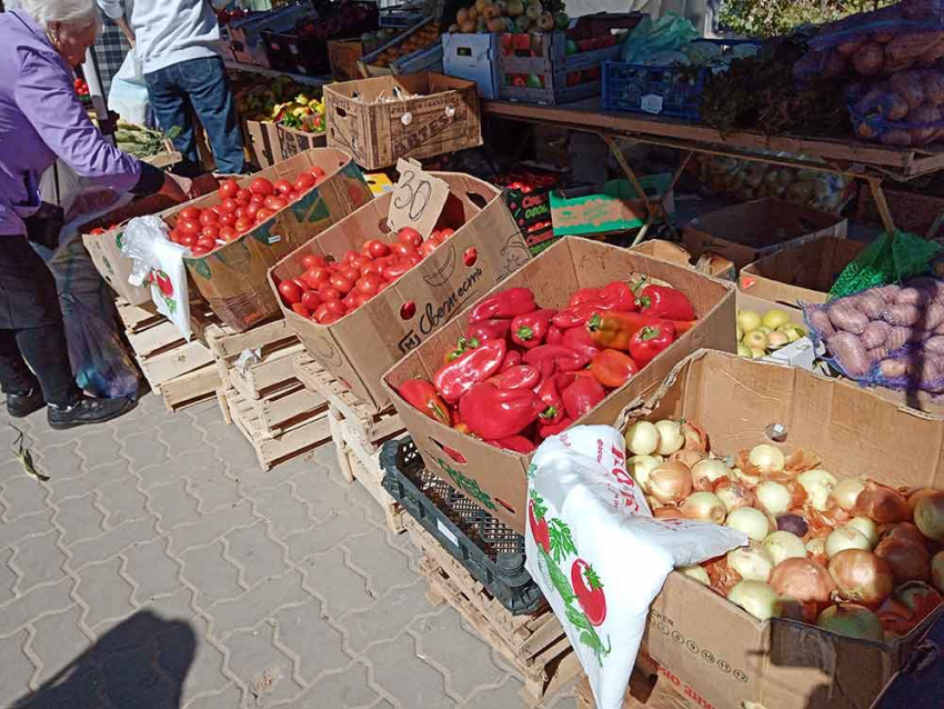 Известный волгоградский фермер прокомментировал заявление генсека ООН о дефиците еды в 2023 году 
